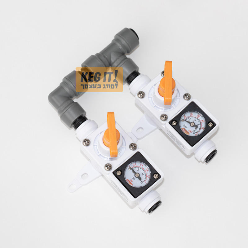 רגולטור ווסת גז CO2 משני- דיוק גבוה - 2 ערוצים